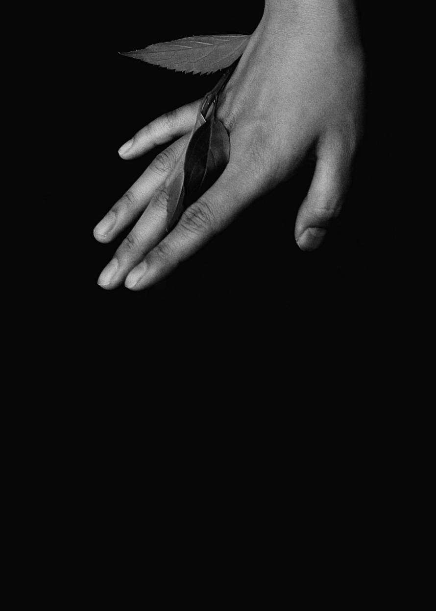 Zagreb RockFest: Body Count, Soulfly, C.A.S. i drugi izvođači