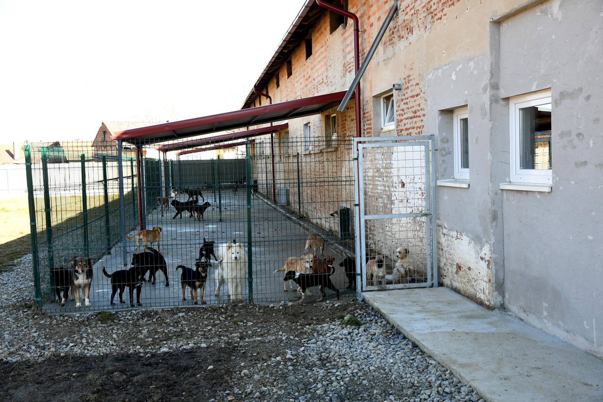 Severin: Za dva milijuna kuna opremili Sklonište za životinje, u njemu je trenutno 109 pasa
