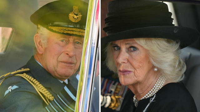 Kralj Charles i kraljica Camilla imaju tajnog sina? Australac Simon uporno traži DNK analizu