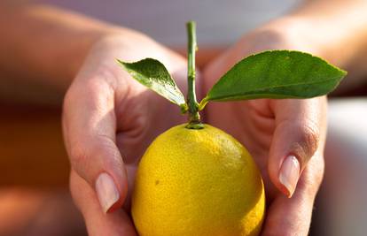 Vitamin C ne može zaštititi od prehlade, ali je može skratiti