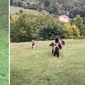 Pogledajte čudesni video: Prvi put u Hrvatskoj snimili mamu medvjedicu s četiri mladunca!