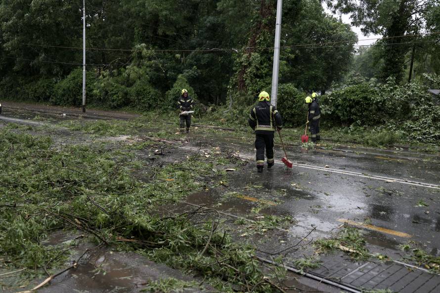 Zagreb: Palo stablo na Maksimirskoj, blokiran promet, vatrogasci na terenu