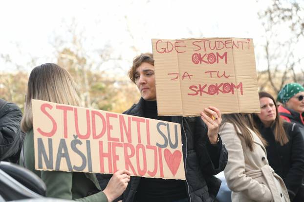 FOTO Krenuo je veliki studentski marš od Beograda do Novog Sada: 'Stići ćemo tamo još jači'