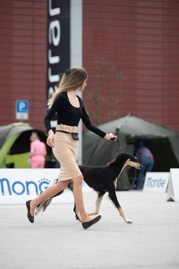 U Zaprešiću održana CAC nacionalna izložba pasa