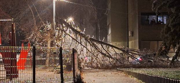 FOTO Ledena kiša 'smrznula' Knin. Padaju i stabla: 'Sve se ledi. Ne mogu se vrata otvoriti'