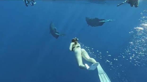 Sunce i planine? Za slovensku boardericu to znači slobodu...