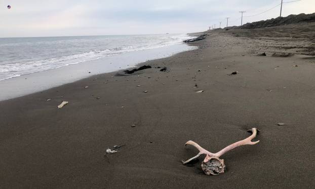 A MI KUKAMO NA HLADNOĆU Ovo su najhladnija mjesta na Zemlji: Temperature i do -70  °C