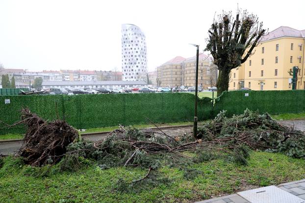 Zagreb: Vjetar  isčupao i stablo uz Sabor