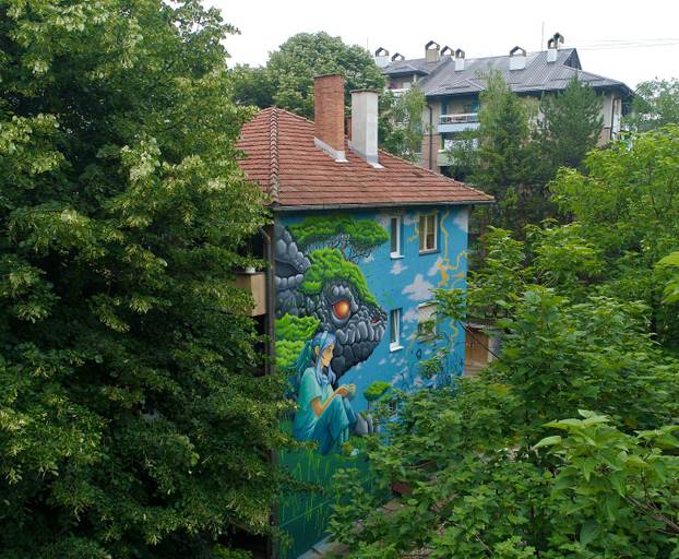 FOTO Grad pretvoren u galeriju: Pogledajte predivne murale na kućama i zgradama u Čačku