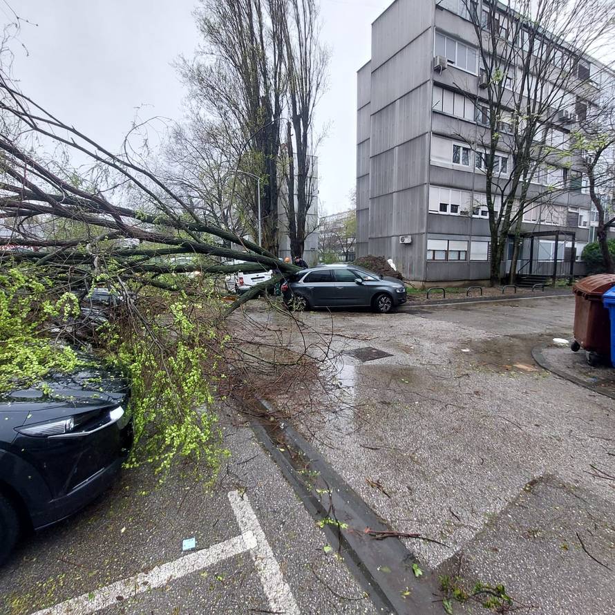 Evo koliko su vatrogasci imali intervencija zbog oluje