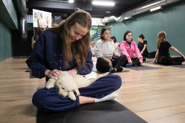 24SATA Paw Yoga, inovativni koncept joge koji je stigao u Hrvatsku