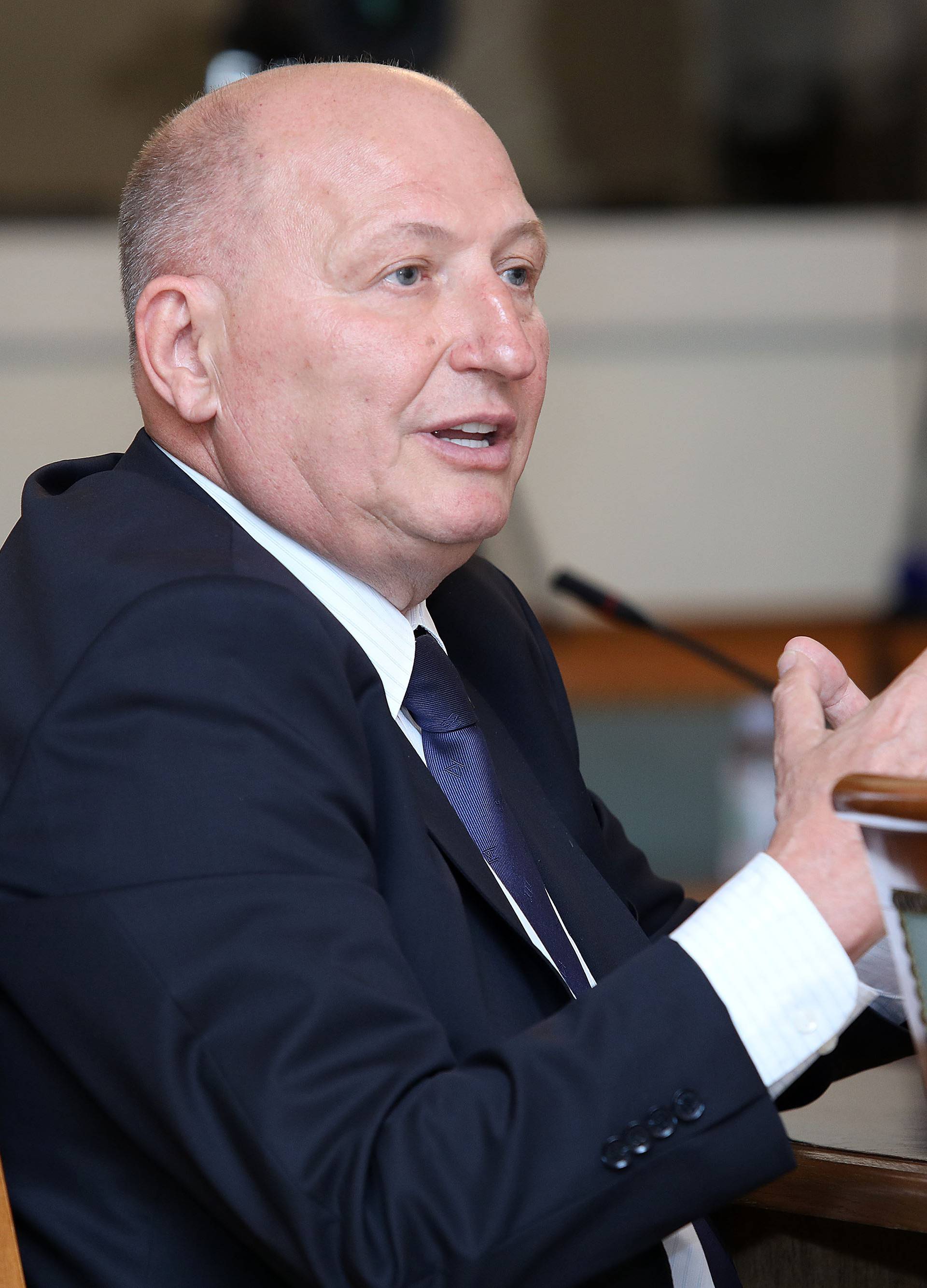 Šef Ustavnog suda Šeparović djelomično plagirao disertaciju