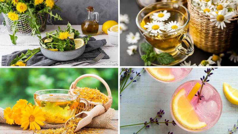 FOTO Više od dekoracije: Evo koje sve vrste cvijeća su jestive