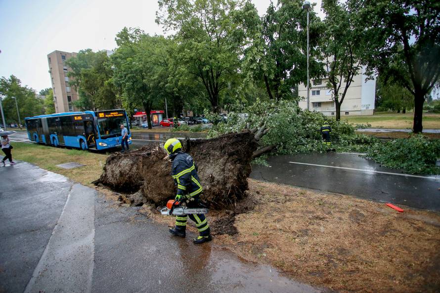 Zagreb: Vatrogasci uklanjaju stablo koje je palo u Ulici Svetog Mateja