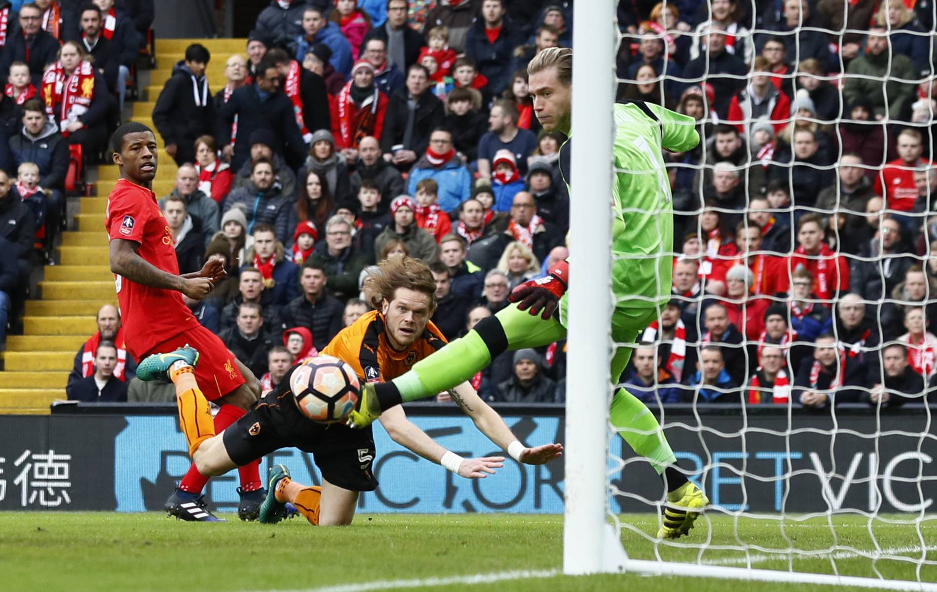 Wolverhampton Wanderers' Richard Stearman scores their first goal