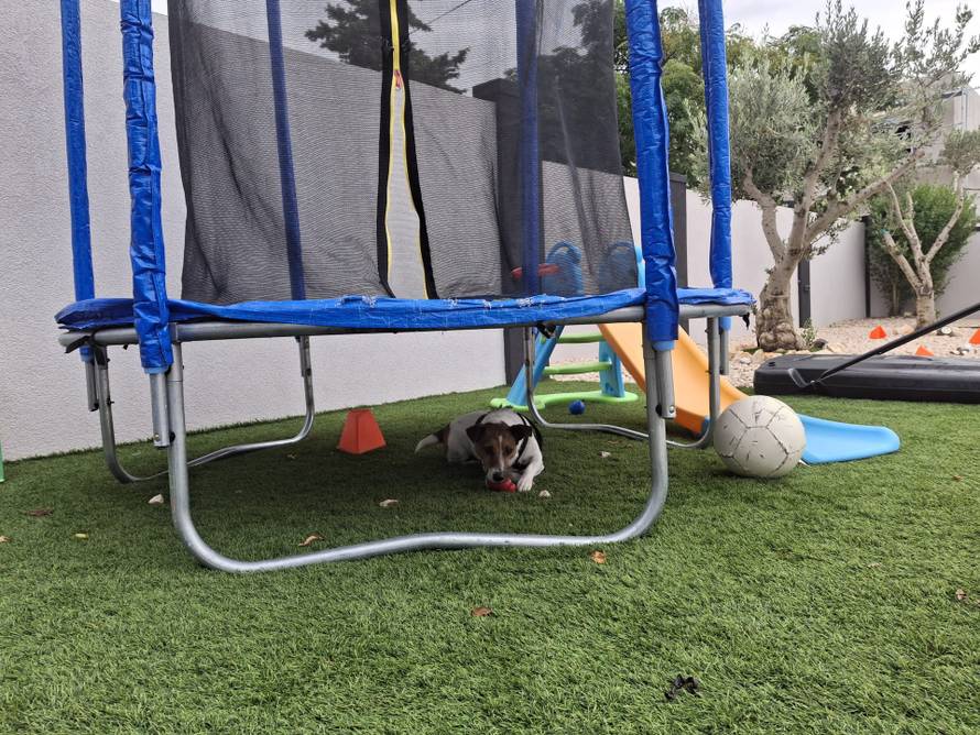 Pas Maks je nestao prije sedam mjeseci, život mu spasio šumar: 'Bio je 500 kilometara od kuće'