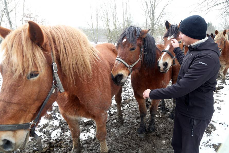 Da ove kobile nisu kod nas, vjerojatno bi bile u kobasama...