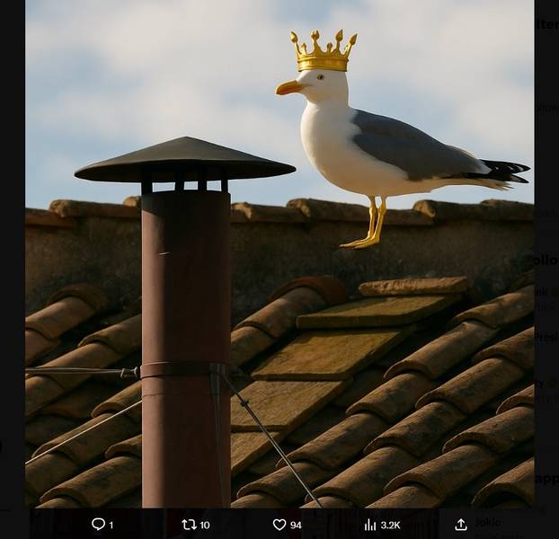 FOTO Internet pun memova zbog konklave. Ovo su najbolje fore! Galeb je postao faca...