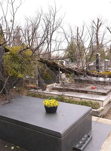 Zagreb: Posljedice velikog nevremena na Mirogoju