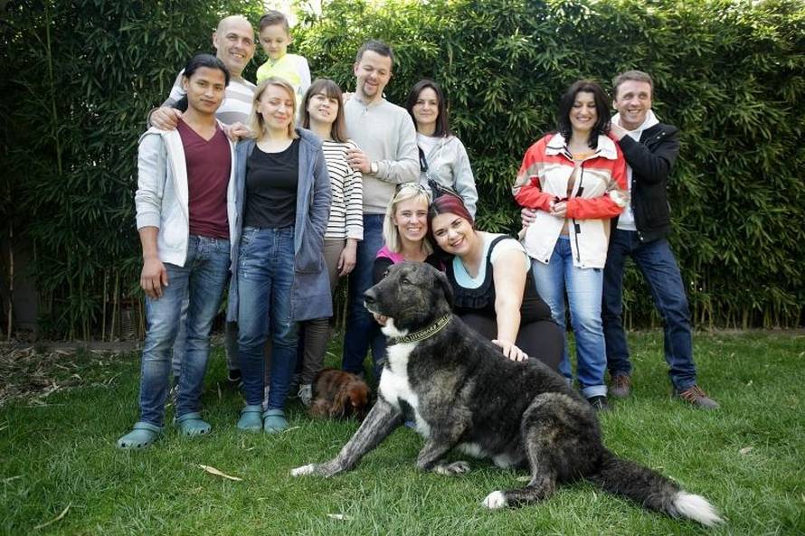 Konačno sreća: Lutalica Barni je topli dom pronašao u Kanadi