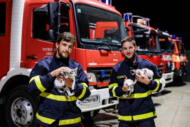 Vrgorac: Vatrogasci spasili 4 mačiča iz šahta gdje su ih pronašli ostavljene