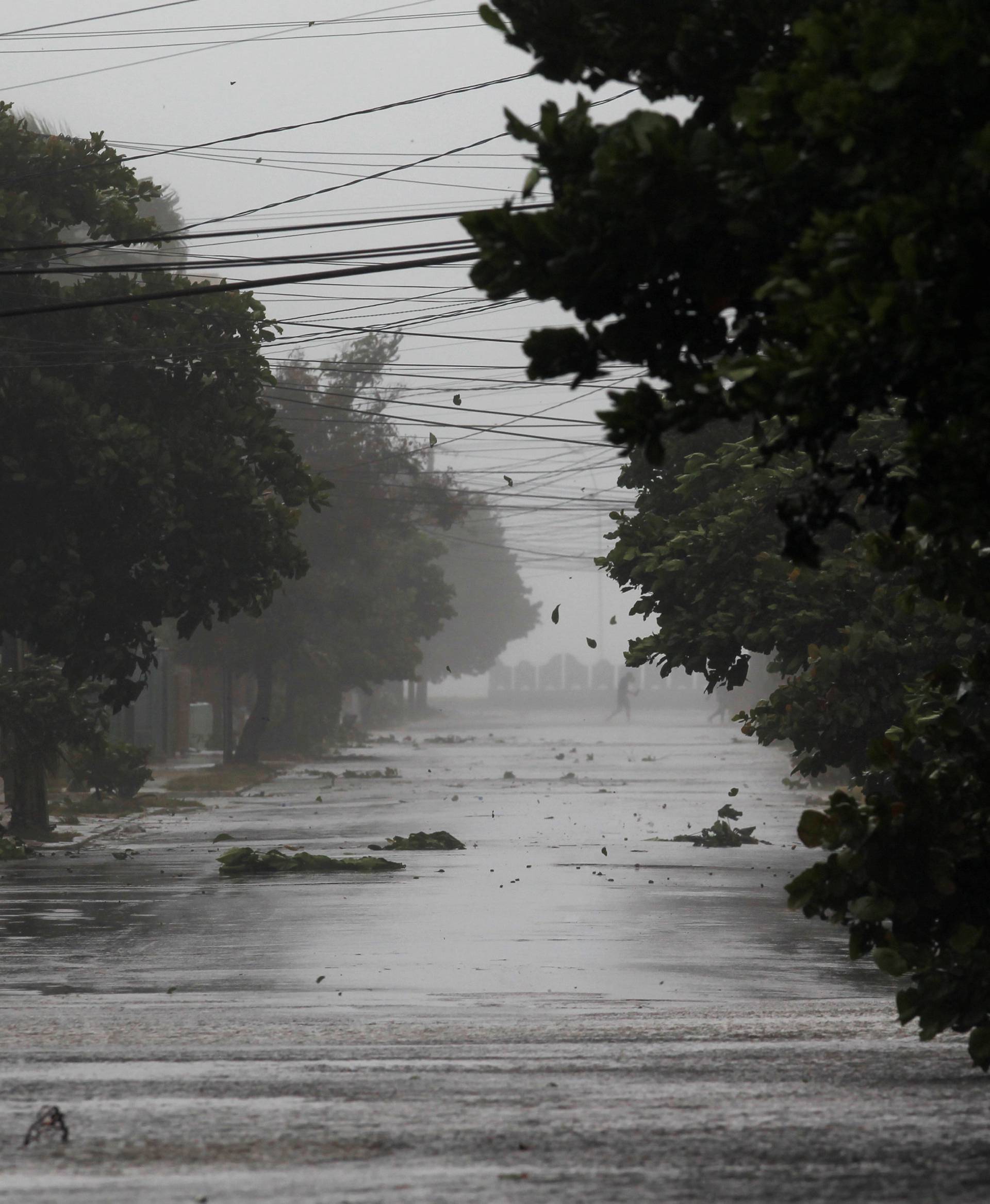 Trees are battered by the wind and rain as Hurricane Irma turns toward the Florida Keys on Saturday, in Havana