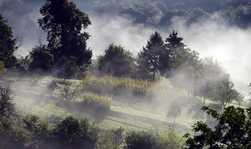 Izgorjelo 1200 čempresa i tuja, šteta viša od 200 tisuća kuna