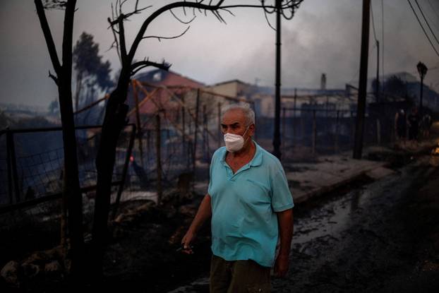 Wildfire in Kryoneri near Athens