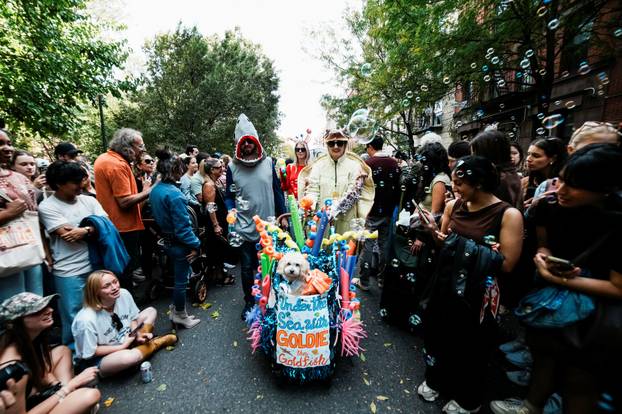 Tompkins Square Halloween Dog Parade in New York