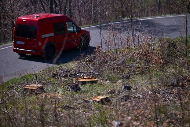 Zagreb: Posljedice olujnog nevremena na Sljemenu