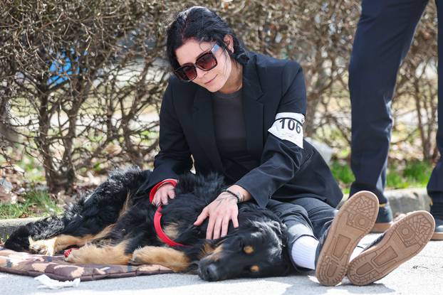 Zaprešić: Ispred Wesgatea održana međunarodna izložba pasa