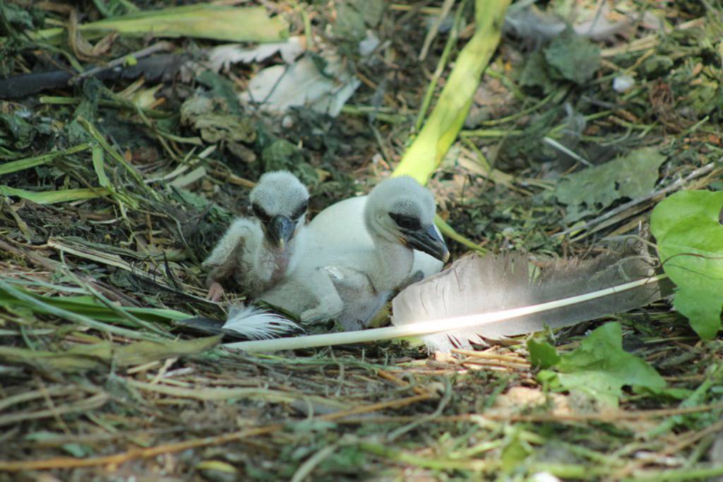 Zoo Zagreb