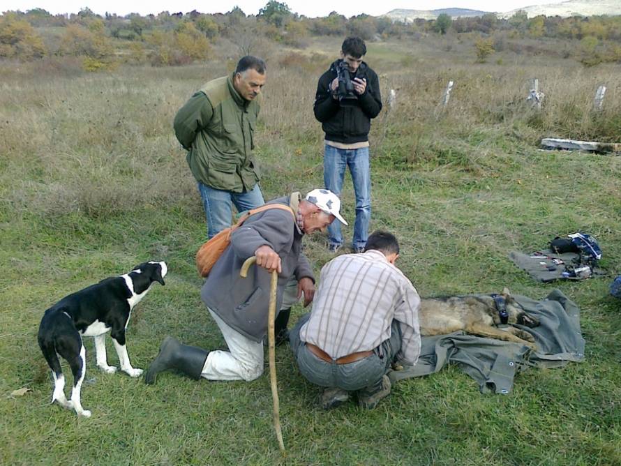 Goran Šimac/Večernj list