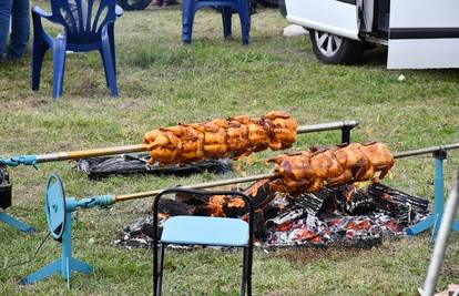 Prejadno je bilo vidjeti cijele pečene odojke bačene u smeće
