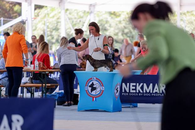 Zaton: Međunarodna izložba pasa pod nazivom CACIB Zadar 2025