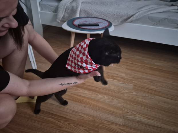 ŠAPE GORE! Ovako navijaju za repku ljubimci naših čitatelja