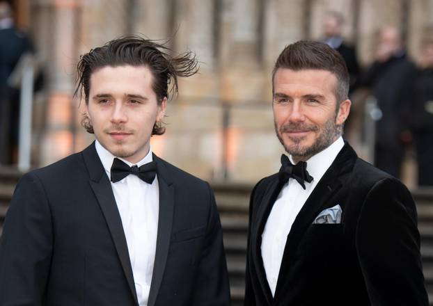 London: Premijera Netflixove dokumentarne serjie Our Planet