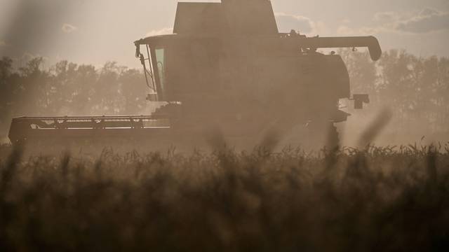 FILE PHOTO: Wheat harvest in Omsk region
