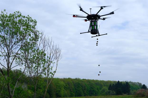 Pošumljavanje Republike Hrvatske dronom