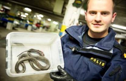 Švedska: Žena je našla u sobi hotela zmiju u glačalu za hlače