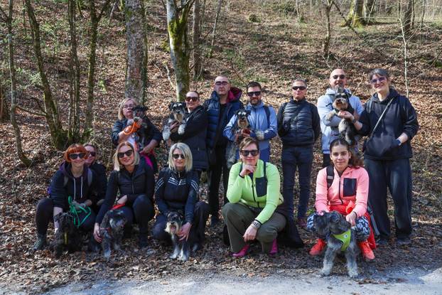 Žumberak: U organizaciji Miniature Schnauzers Croatia održano je druženje patuljastih šnaucera