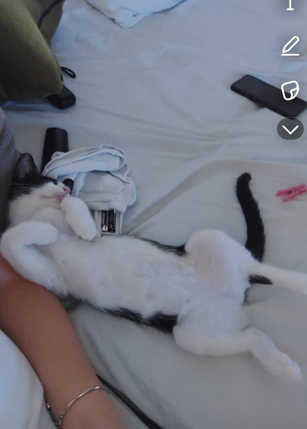 SUPER FOTKE vaših ljubimaca! Neki bi mogli biti viralni hit, ali svi su jednostavno neodoljivi