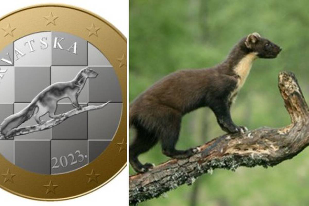 Hrvati pričaju o dizajnu eura i kovanicama: Ovo je pobjednički dizajn, a ovo slika s interneta...