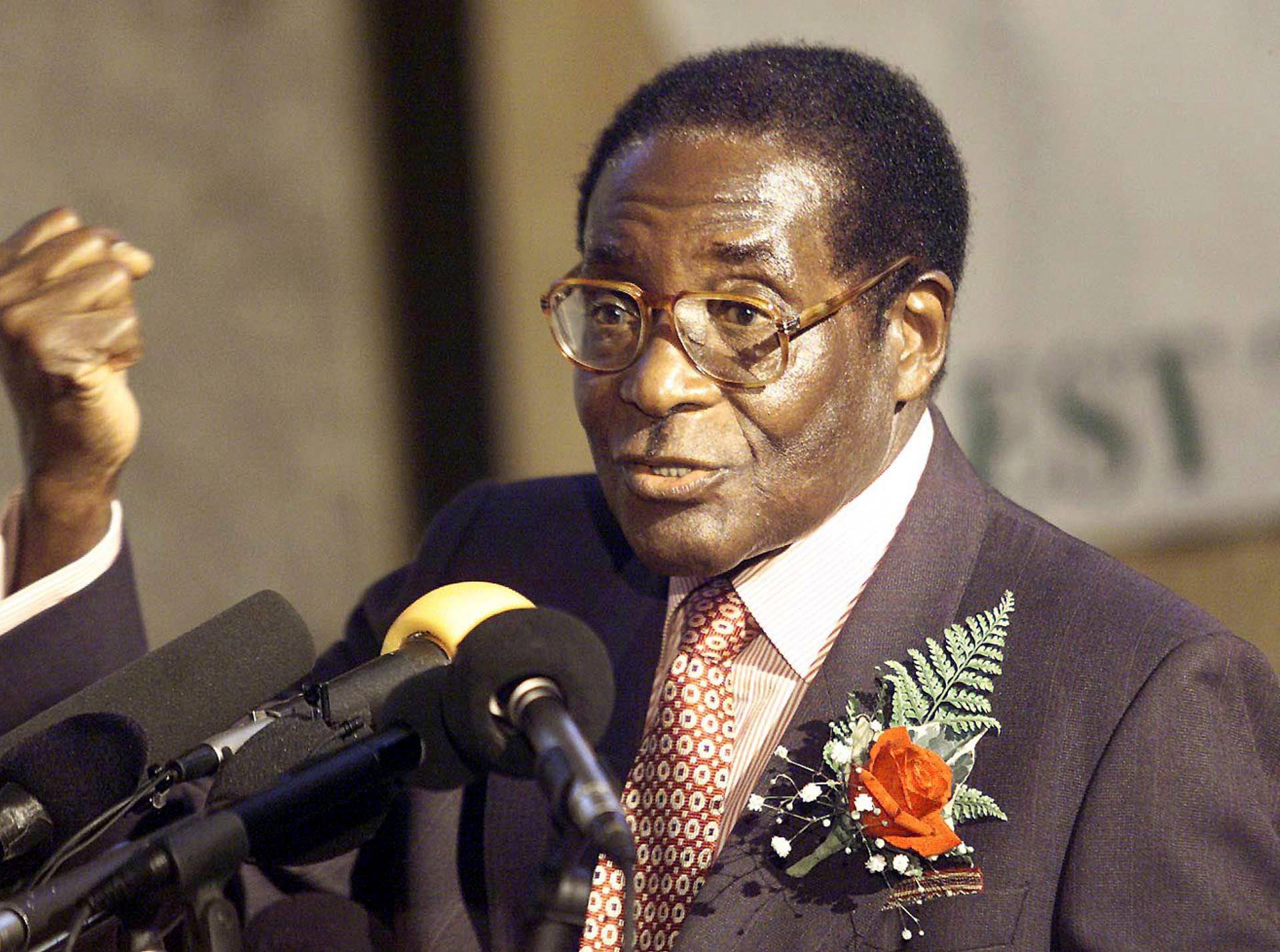 FILE PHOTO -  File photo of Zimbabwe's President Robert Mugabe addressing party supporters in Harare