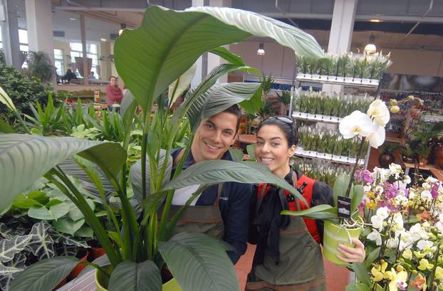 Zagreb: Hrvatski celebrity u humanitarnoj akciji za razminiravanje Kopa?kog rta 