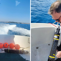 Ovi uređaju mjere zvukove kitova, brodova, ali i potresa: 'Sve snimke se analiziraju'