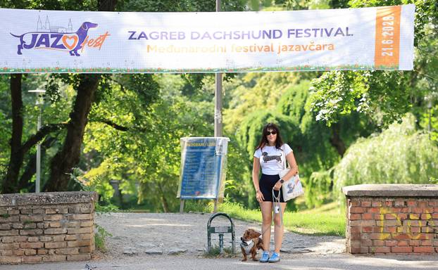 Zagreb: Međunarodni festival pasa jazavčara JAZOfest