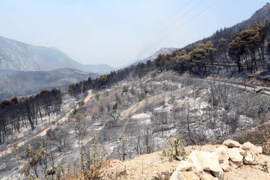 Grgo Jelavić/PIXSELL