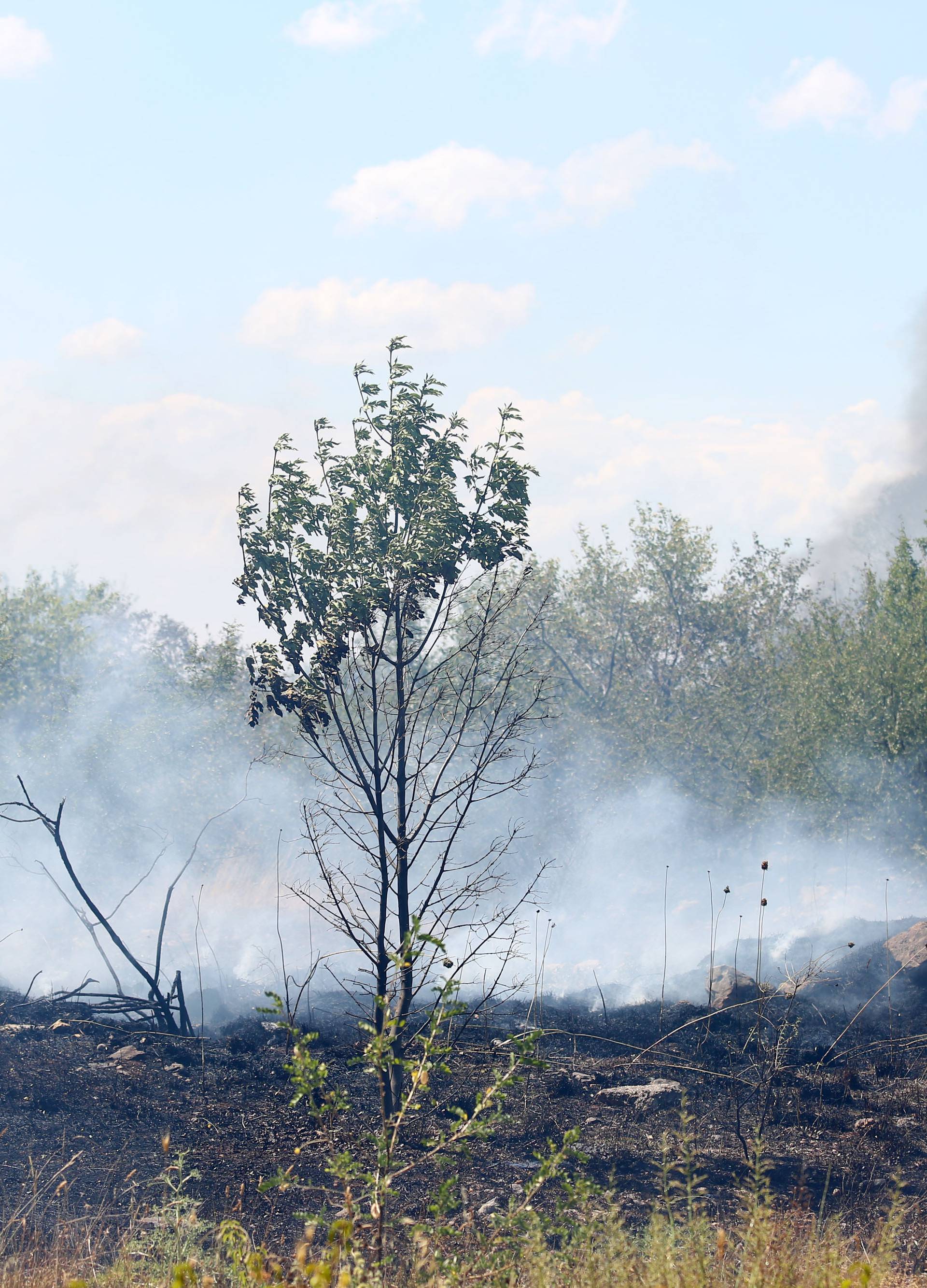Veliki požar kod Drniša: Gase ga kanaderi i  50 vatrogasaca