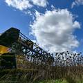 Ministarstvo: Skok ukrajinskog izvoza suncokretovih sjemenki neprihvatljiv, uništit će sektor